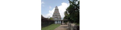 186. திருக்கோளிலி